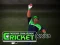 Cricket Fielder Challenge — безплатна онлайн игра