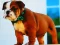 Bulldog Puppy Puzzle — безплатна онлайн игра
