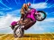Crazy Wheelie Motorider — безплатна онлайн игра