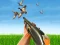 Bird Hunting — безплатна онлайн игра