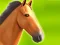Horse Run 3D — безплатна онлайн игра