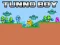 Tunno Boy — безплатна онлайн игра