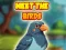 Meet The Birds — безплатна онлайн игра