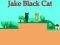 Jake Black Cat — безплатна онлайн игра
