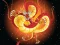 Chinese Dragons Coloring — безплатна онлайн игра