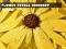 Flower Petals Raindrop Jigsaw — безплатна онлайн игра