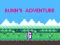 Bunn's Adventure — безплатна онлайн игра