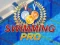 Swimming Pro — безплатна онлайн игра