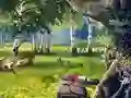 Scout Camp — безплатна онлайн игра