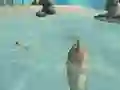 Shark Simulator Beach Killer — безплатна онлайн игра