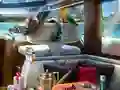 Caribbean Crime — безплатна онлайн игра