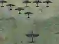 Wings Of Glory — безплатна онлайн игра