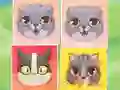 Kitten Match — безплатна онлайн игра