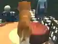 Dog Simulator: Puppy Craft — безплатна онлайн игра