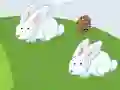 Crazy Eggs — безплатна онлайн игра