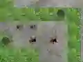 Spider Tower Defence — безплатна онлайн игра