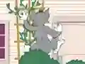 Tom und Jerry: Wasserbomben Wahnsinn — безплатна онлайн игра