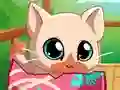 My Pocket Pets Kitty Cat — безплатна онлайн игра
