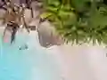 Seychelles Beach Jigsaw Puzzle — безплатна онлайн игра