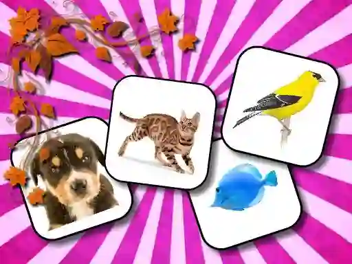 Animals Memory — безплатна онлайн игра