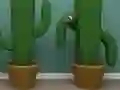 Cactus Cube — безплатна онлайн игра