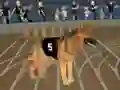 Crazy Dog Racing Fever — безплатна онлайн игра