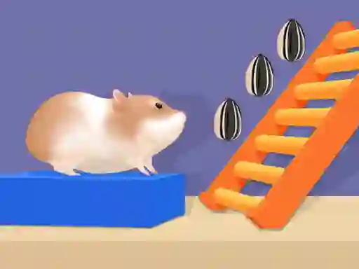 Hamster Stack Maze — безплатна онлайн игра
