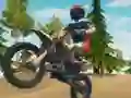 Dirt Bike Enduro Racing — безплатна онлайн игра