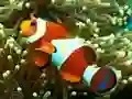 Underwater Hidden Numbers — безплатна онлайн игра