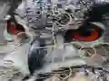 Wild owl Jigsaw — безплатна онлайн игра
