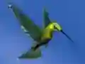 Hummingbird House Escape — безплатна онлайн игра