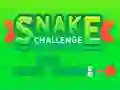 Snake Challenge — безплатна онлайн игра