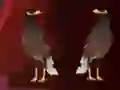 Peikin Duck Escape — безплатна онлайн игра