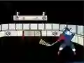 Capitaine Cage Hockey — безплатна онлайн игра