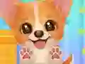 Adopt Your Pet Puppy — безплатна онлайн игра