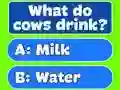 Trivia Best Family Quiz — безплатна онлайн игра