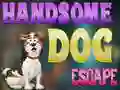 Handsome Dog Escape — безплатна онлайн игра