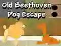 Old Beethoven Dog Escape — безплатна онлайн игра