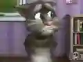 Talking Tom Cat 2 — безплатна онлайн игра