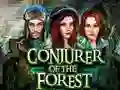 Conjurer Of The Forest — безплатна онлайн игра