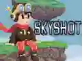 Skyshot — безплатна онлайн игра