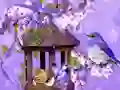 Wonderful Humming Bird Land Escape — безплатна онлайн игра