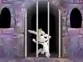 Victory Rabbit Escape — безплатна онлайн игра