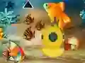 Save The Mother Fish — безплатна онлайн игра