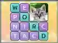Word Search Pictures — безплатна онлайн игра