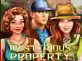 Mysterious Property — безплатна онлайн игра