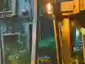Playful Tortoise Escape — безплатна онлайн игра