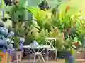 Find The Cute Pandas — безплатна онлайн игра