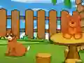 Funny Iguana Escape — безплатна онлайн игра