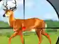 Wild Hunt Hunting Games 3D — безплатна онлайн игра
